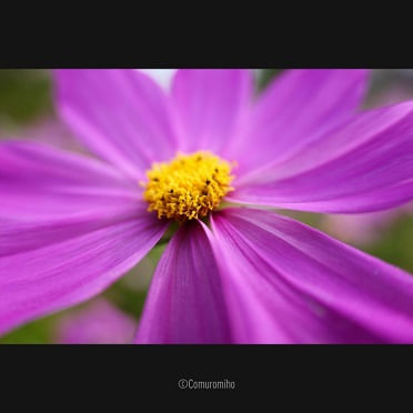 Panasonic LUMIX S 28-200mm Obiectiv Foto Mirrorless F4-7.1 O.I.S. Macro 1:2 Montura L